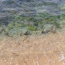 송림목장 이미지