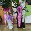 밀땅 휘트니스 이미지