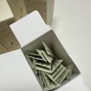 브로멜라인 슬리아 내돈내산