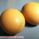 중앙유통농장 이미지