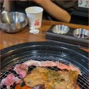 연화계야당
