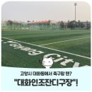 대화족구장 이미지