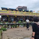 장보고횟집 | 제부도 왕새우 새우구이 해물칼국수 내돈내산 장보고횟집 후기