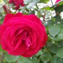 마루광장 이미지