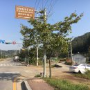 김준룡 장군 묘 및 신도비 이미지