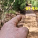 고마운행정사 이미지