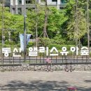 앨리스의꽃숲