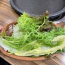 덕동오리농장 | [마산가포맛집][가포맛집]송림흑염소 강추