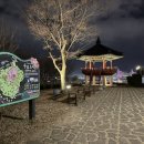 우암동 도시숲 이미지