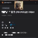 이마트24 진도오일시점 | 일상 모음집_24년 10월 어느 날