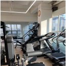 스타트PT | 강변 헬스장에서 다이어트 스타트! 바디랩그룹트레이닝&amp;PT 강변점 후기
