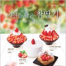 참디저트