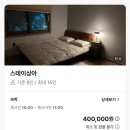 스테이상아 이미지