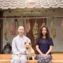 왕왕상사 이미지