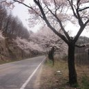 사단법인 제천문화예술위원회 이미지