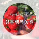 삼훈행복농원 이미지