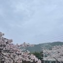 용연사길 이미지