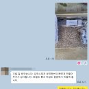 더나은출력소