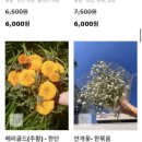 드롭플라워 이미지