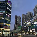 온트리플렉스 이미지