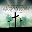 성구 Daum카페