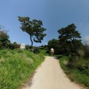 여주-1102 이미지