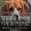 정이동물병원