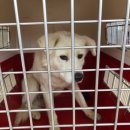 화곡1리 이미지