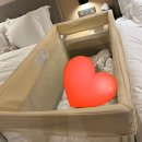 디노호텔 | 헬로디노 원터치 휴대용 아기침대 실사용 후기 아기와 여행 필수템