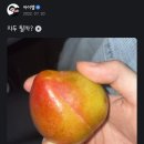 엠피드 이미지