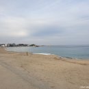 봉포 김여사 이미지