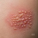 오라클약국 이미지