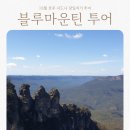 신비한동물원 | 호주 시드니 여행 블루마운틴 투어 내돈내산 여자 혼자 다녀온 후기 | 페더데일 동물원 10월 옷차림