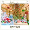 팔당카페 | 봉주르 팔당 크리스마스 카페 실내 애견동반 후기