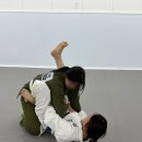 대화역 바로 앞 인아웃 주짓수에서 체험한 일산주짓수 후기