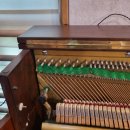 아람유치원 이미지