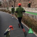 루나웍스 | 웍스아웃 ACG와 함께한 삼일절 북악트레일런 후기