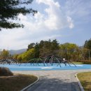 큰사랑꼬마숲어린이집 이미지