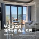 광안리숙소부산앤유 | 부산 광안리 애견동반 숙소 내돈내산 후기 테라스타오션 개인 테라스에서 오션뷰 드론쇼까지