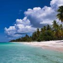 아일랜드 이미지