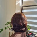월천Salon