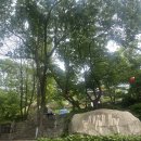 청계로 | 청계산 청계사코스 후기 🌿 청계사입구-이수봉 초보 등산루트 추천