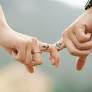고니스튜디오 이미지