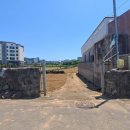 동일리-10 이미지