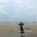 [일상] 안면도 1박 2일 여행!