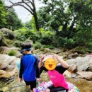 용문골식당 네이버블로그