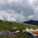 축령산편백하우스 이미지
