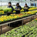 백양산 양묘장 이미지