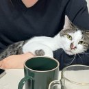 별난삼겹 이미지