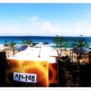 사나래카라반캠핑 네이버블로그